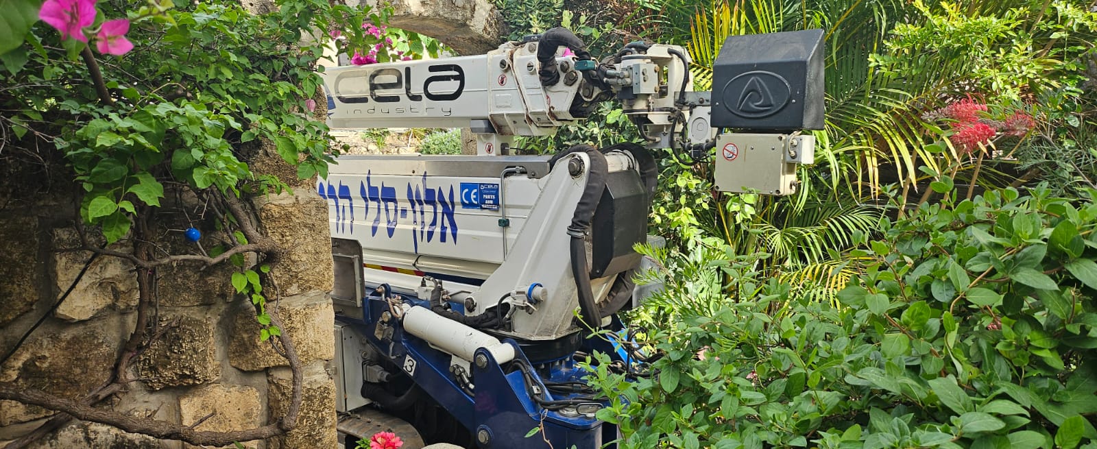 מנוף סל של אלון בעבודת כריתה בין צמחייה